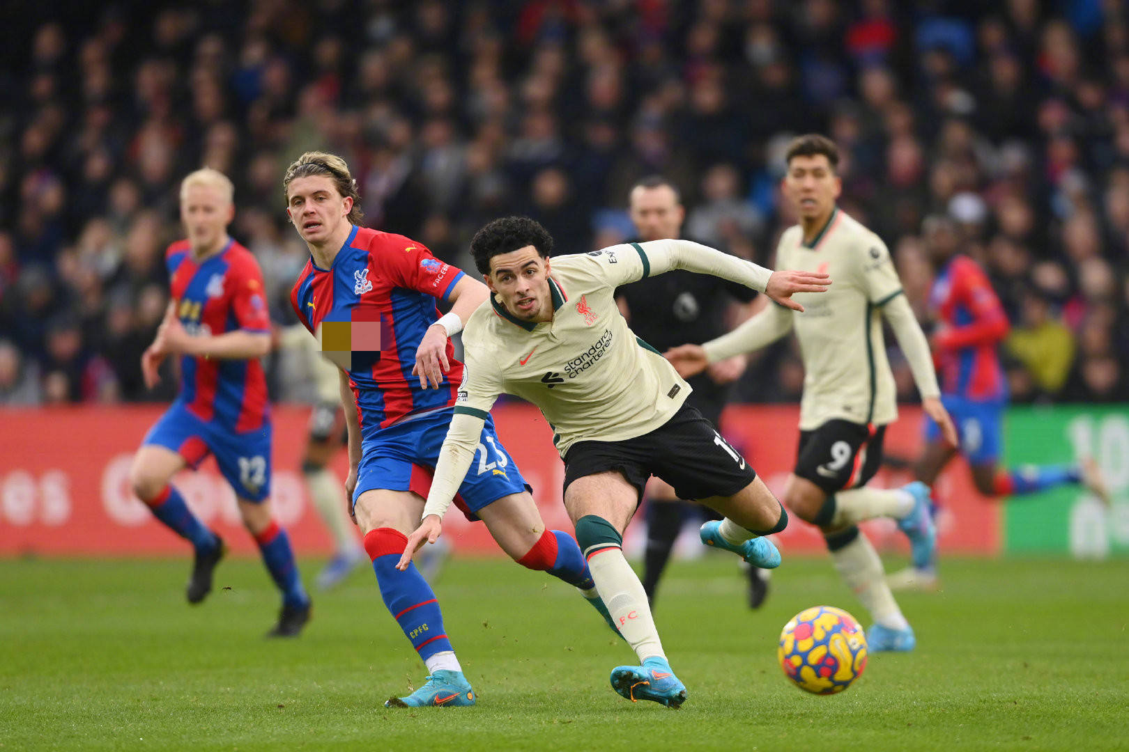 巩固了领先 巩固了领先